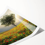 Rolling countryside landscape canvas print showcasing vibrant green fields, blue skies, and rolling hills, elegantly packaged in a protective cardboard tube. Ideal for home decor enthusiasts seeking nature-inspired art.