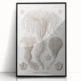 Modern Wall Art: Ernst Haeckel’s Intricate Crinoidea Illustration