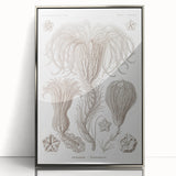 Modern Wall Art: Ernst Haeckel’s Intricate Crinoidea Illustration