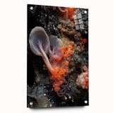 Large abstract wall art on acrylic glass featuring natural close-up elements in soft earth tones.