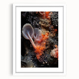 Abstract art print featuring close-up natural elements in muted earth tones, framed with a white mat.