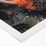 Art deco poster featuring close-up natural elements in muted earth tones on rolled canvas.