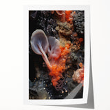 Extra large rolled print of close-up floral elements in natural colors, ideal for dining room wall art.