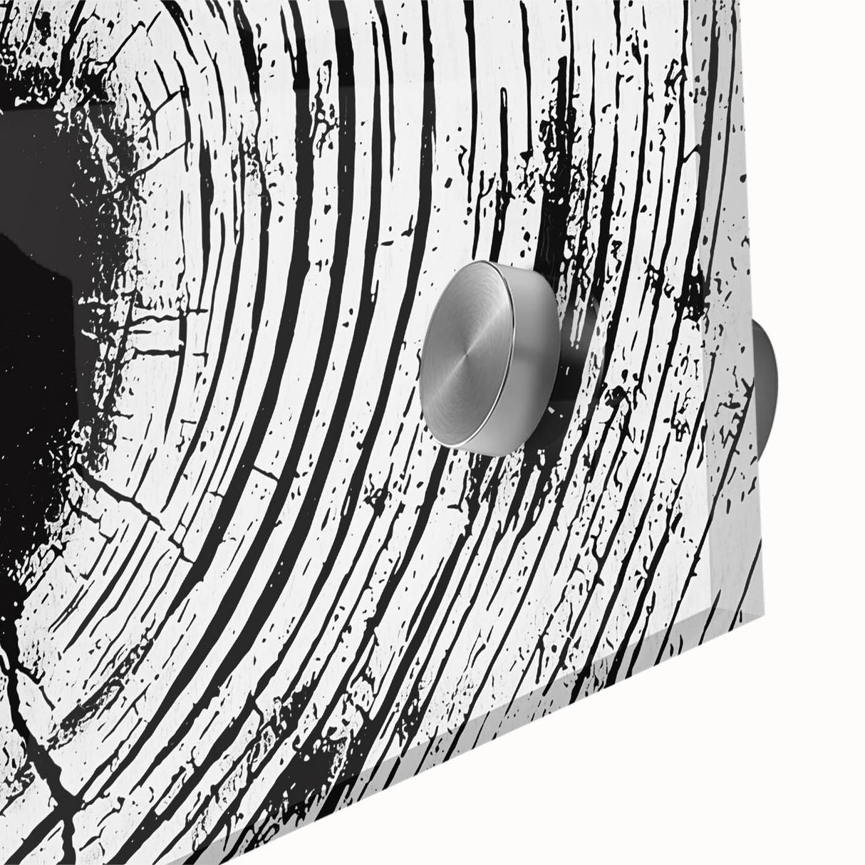 Large abstract wall art featuring a close-up of nature elements in muted earth tones, printed on acrylic glass.
