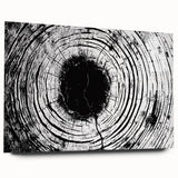 Large abstract wall art depicting natural elements in muted earth tones on acrylic glass.