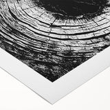 Art deco poster featuring monochrome leaves, printed on rolled canvas, suited for dining room or bathroom walls.
