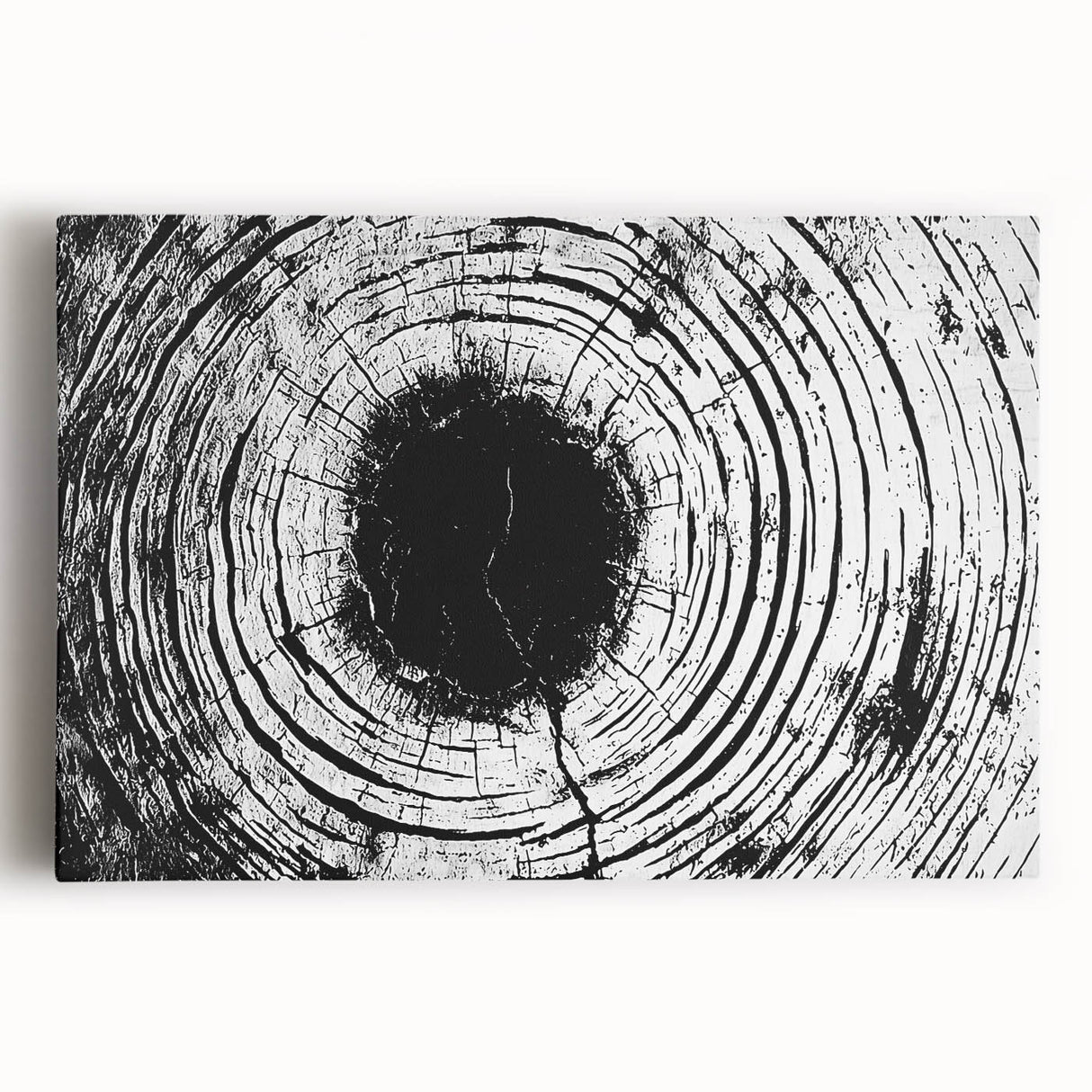 Black and white close-up photo of leaves on stretched canvas, ideal for kitchen wall art.