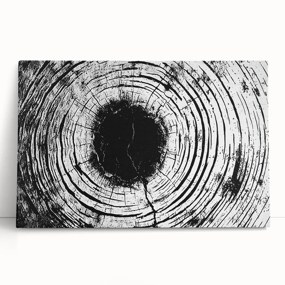 Black and white close-up photo of a dandelion on a stretched canvas, ideal for kitchen wall art or bedroom decor.