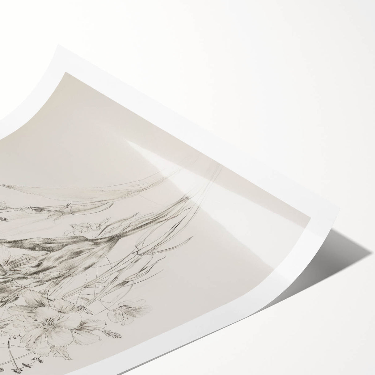 Minimalist Floral Living Room Wall Art – Black & White Sketch