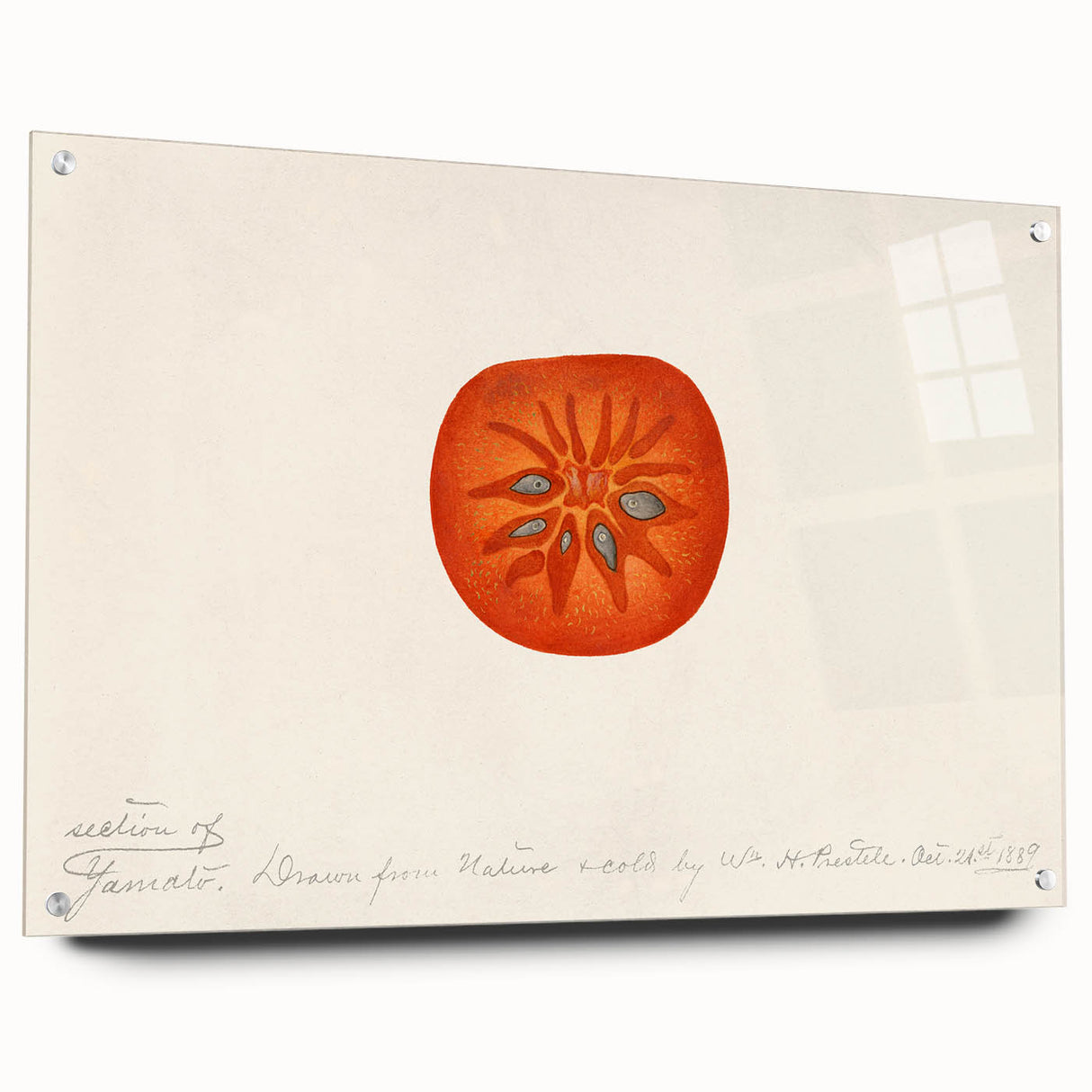 Large abstract wall art featuring an assortment of fruits in vibrant colors on acrylic glass.