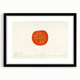 Extra large abstract art print featuring textured, colorful fruit motifs in a black frame, ideal for living room decor.