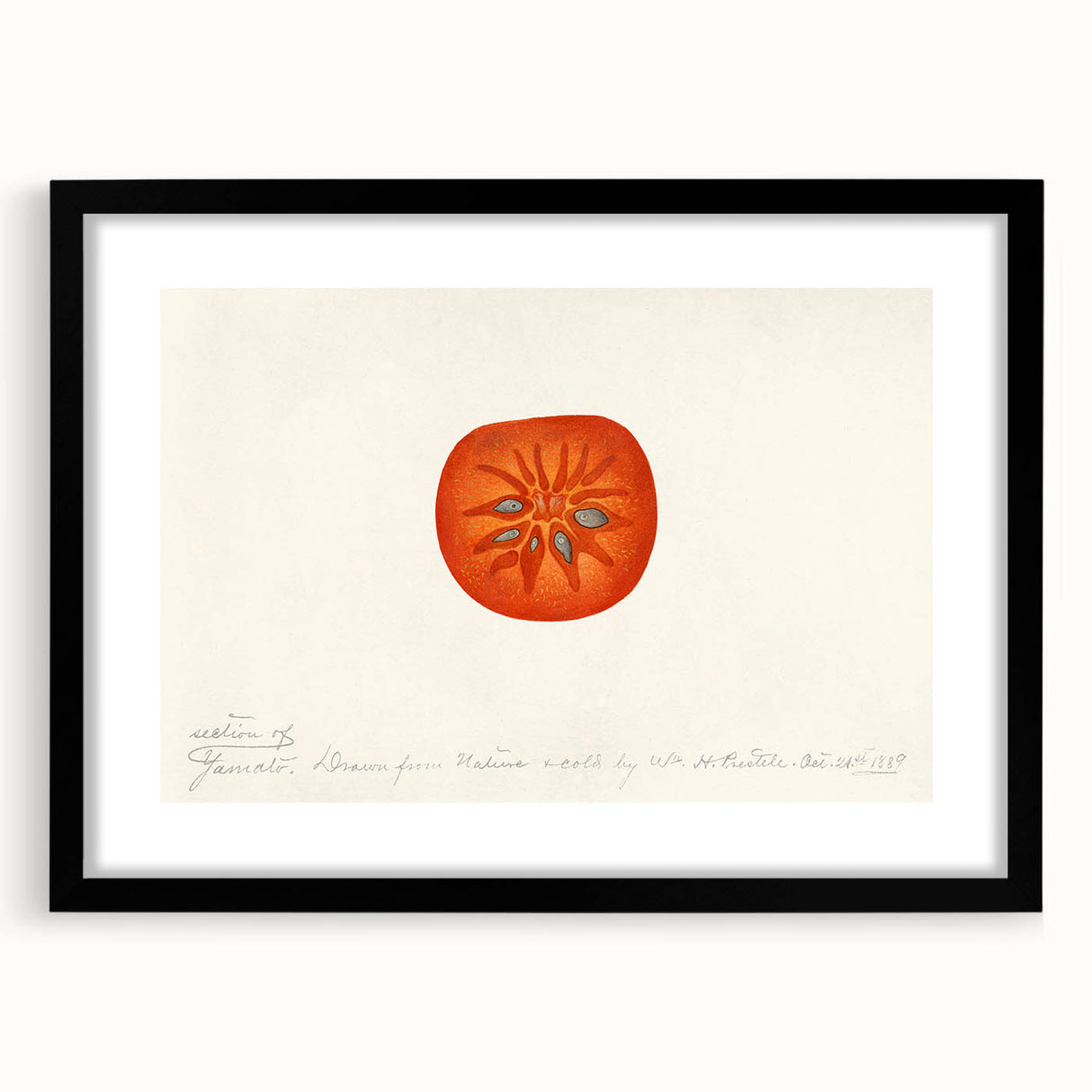 Extra large abstract art print featuring textured, colorful fruit motifs in a black frame, ideal for living room decor.