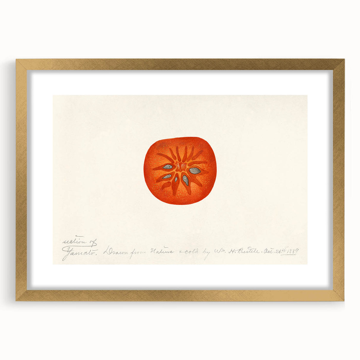 Extra large abstract art print featuring textured fruits in vibrant colors, framed in gold, ideal for living room decor.