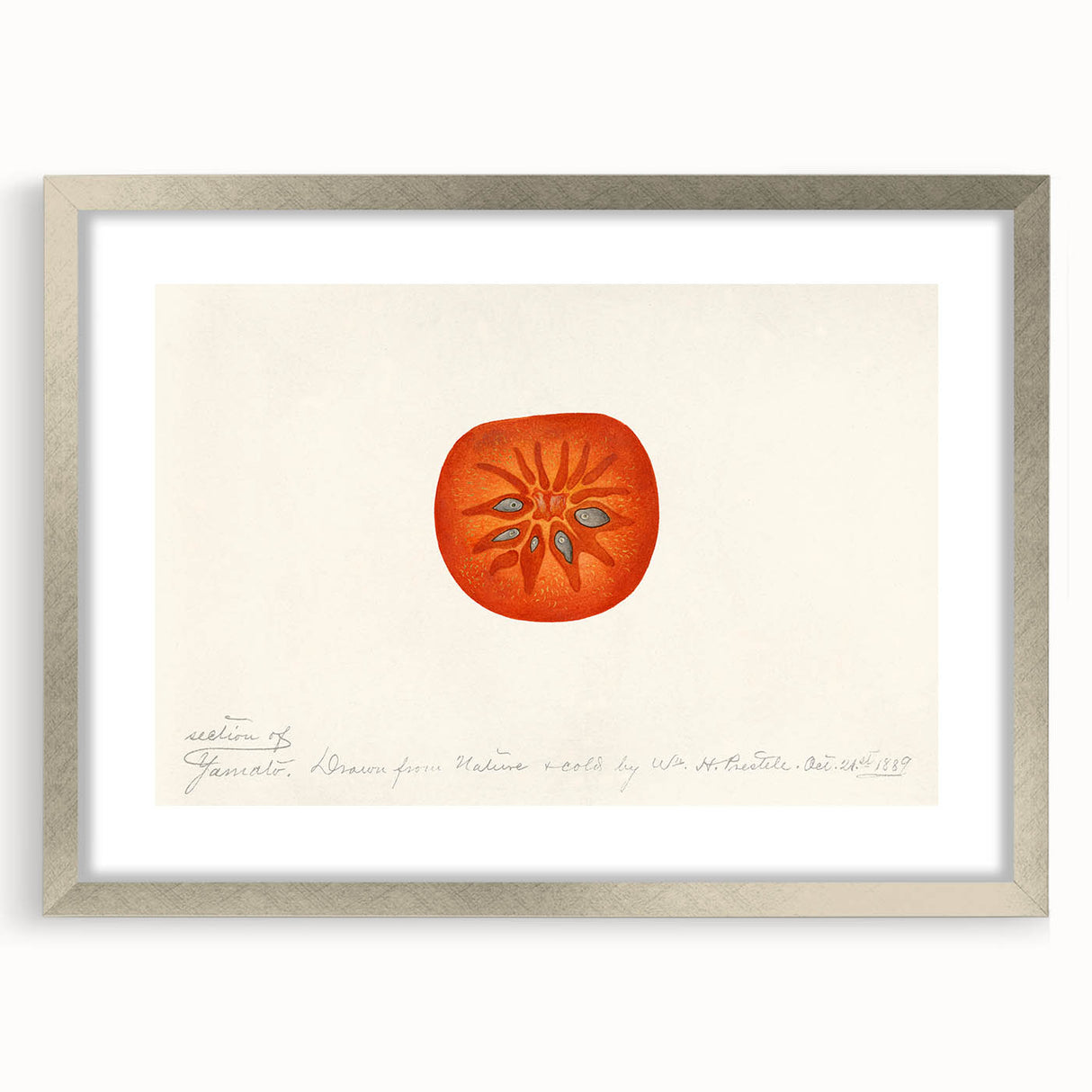 Textured abstract art print featuring assorted fruits in vibrant colors, framed in silver, ideal for bedroom decor.