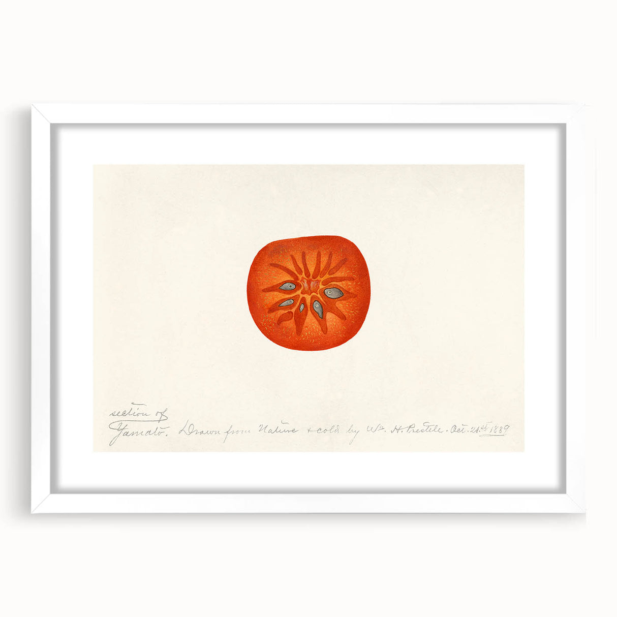Abstract art print of assorted fruits in vibrant colors on a white framed mat, suitable for dining room decor.