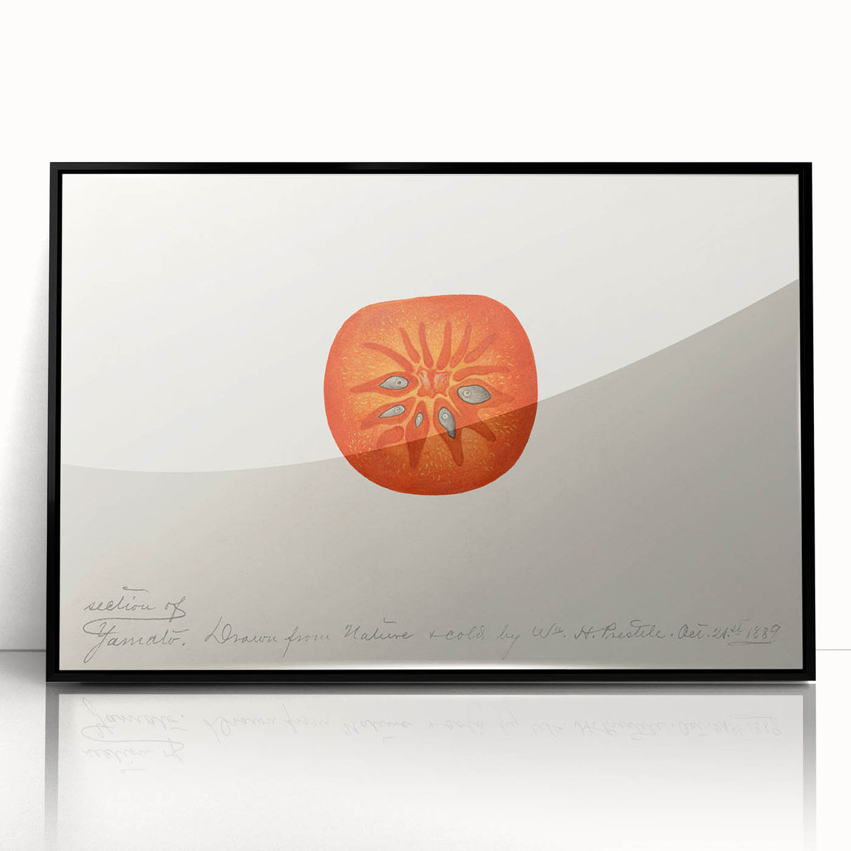 Large abstract wall art featuring assorted fruits in bold colors on a black acrylic framed print.