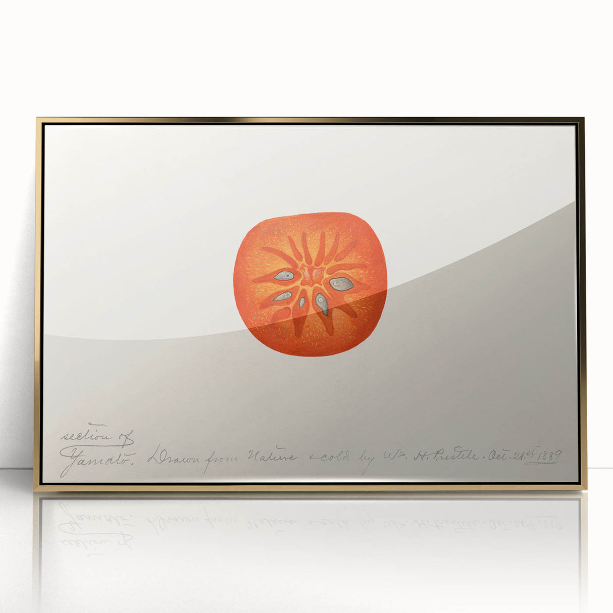 Large art print of assorted fruits in vibrant colors on a gold acrylic frame, styled in mid-century modernist.