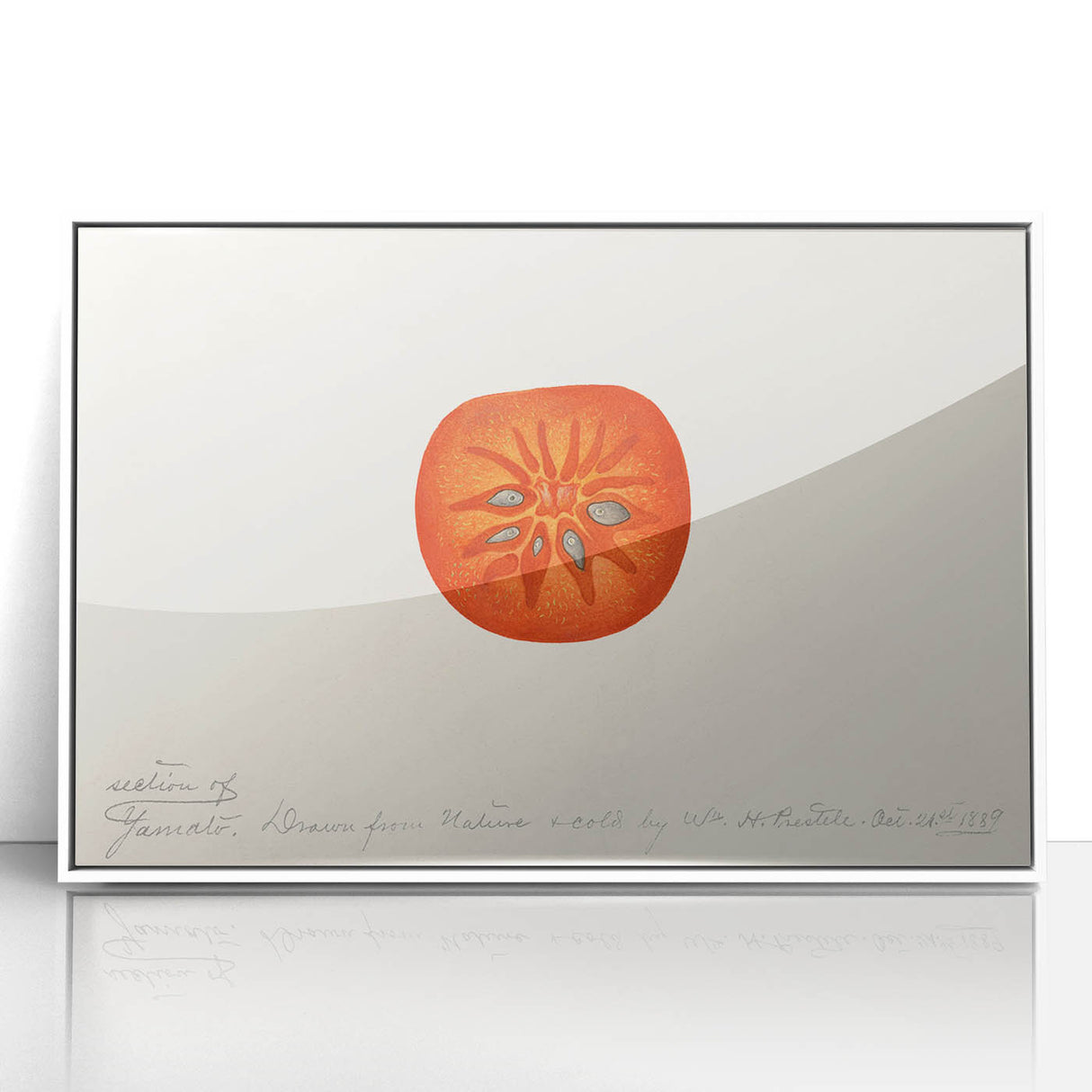 Art deco poster featuring a variety of colorful fruits on a white acrylic framed print, suitable for modern nursery decor.