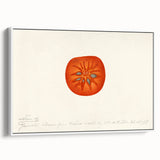 Vintage poster art of colorful fruits on a black background, framed canvas, ideal for living room decor.