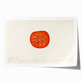 Rolled canvas print featuring an assortment of fruits in vibrant colors, suitable for art wall dining room.