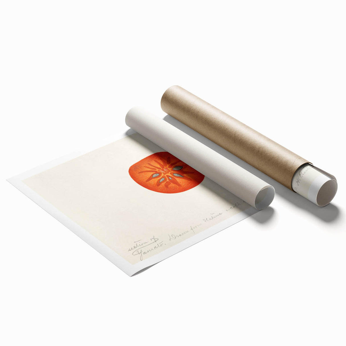 Extra large rolled print featuring an assortment of vibrant fruit and floral designs.