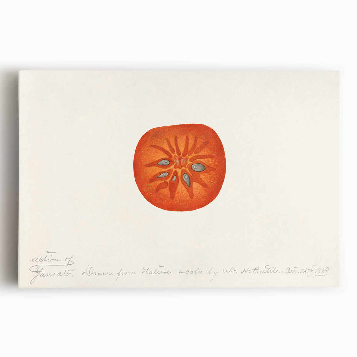 Black and white stretched canvas featuring an array of fruits, ideal for kitchen wall art.