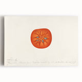 Black and white stretched canvas featuring an array of fruits, ideal for kitchen wall art.
