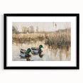 Stretched Canvas Art for Kids - Mallard Ducks on the Lake