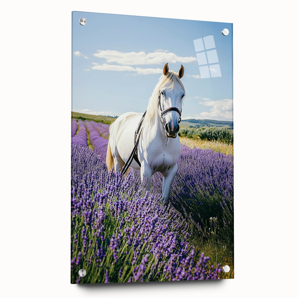 Acrylic glass display of a vibrant landscape featuring a serene countryside scene, showcased from a side view with decorative pins for enhanced presentation.