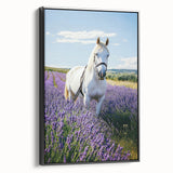 Framed canvas artwork showcasing a serene countryside landscape with vibrant green fields and a tranquil blue sky, presented in a sleek black frame for elegant decor.