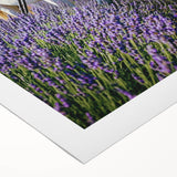 Vibrant rolled canvas artwork depicting a serene countryside landscape with rolling hills and lush greenery, elegantly packaged in a protective cardboard tube for shipping.