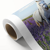 Rolled canvas print showcasing a serene countryside landscape with vibrant green fields and a clear blue sky, elegantly packaged in a protective cardboard tube.