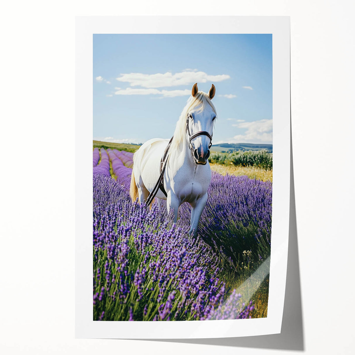 Rolled print showcasing a vibrant countryside landscape, featuring lush green fields and rolling hills under a clear blue sky, packaged securely in a protective tube.