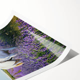 Rolling countryside landscape print showcasing vibrant green fields under a clear blue sky, elegantly packaged in a protective cardboard tube for easy storage and display.