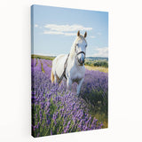 Countryside landscape stretched canvas art with vibrant green fields and a serene blue sky, showcasing a peaceful rural scene. Perfect for home decor.