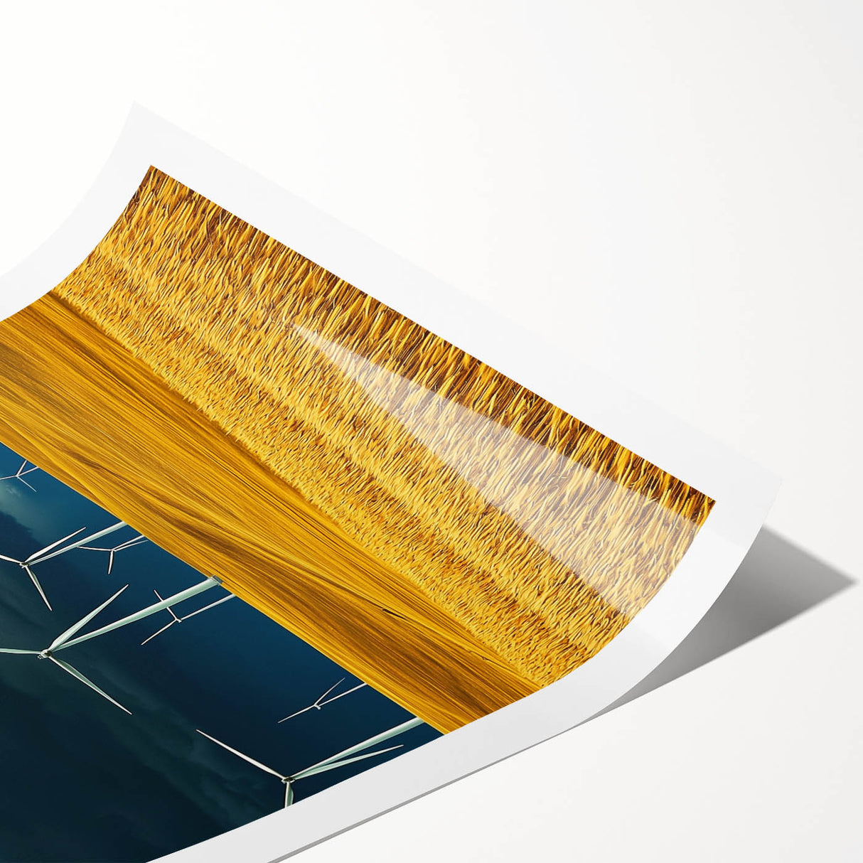 Rolled print showcasing an expansive field landscape with vibrant greens and golden hues, elegantly packed in a protective cardboard tube for easy display.