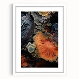 Abstract art print featuring close-up natural elements in muted earth tones, framed with a white mat.