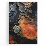 Large black and white close-up of natural elements on stretched canvas, suitable for kitchen wall art.