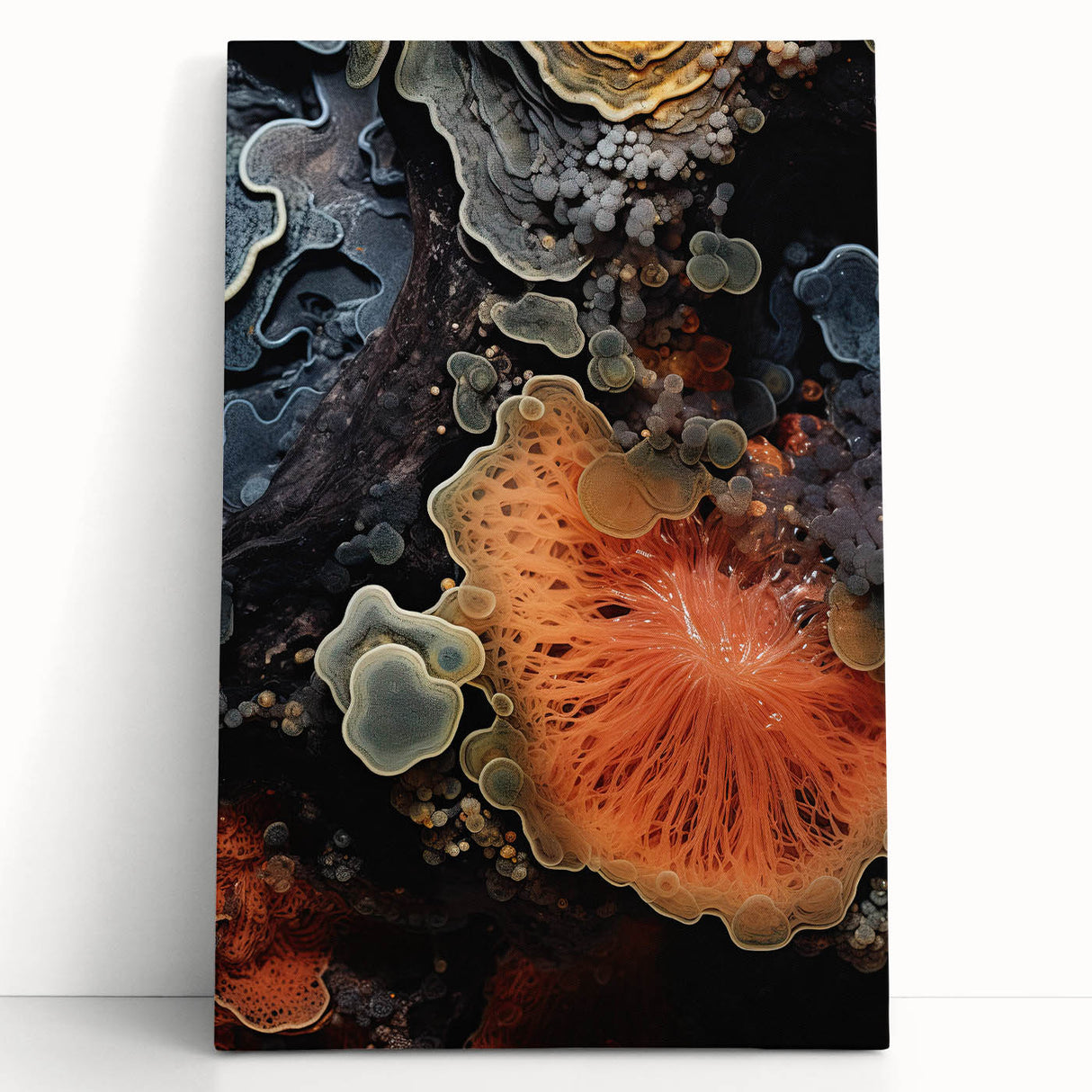 Black and white close-up photograph of natural elements on stretched canvas, ideal for kitchen wall art.