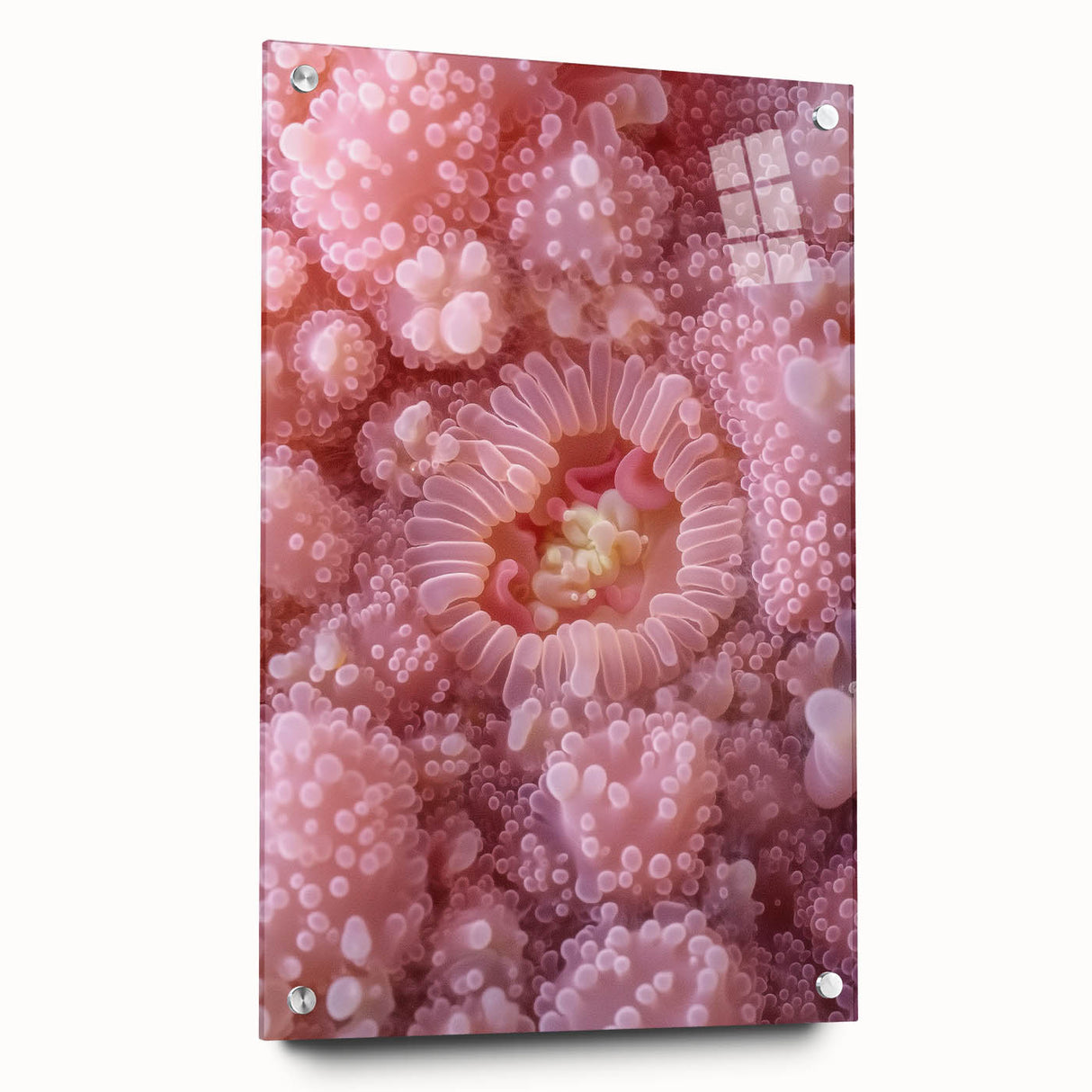 Large abstract wall art of nature elements in muted green and brown tones on acrylic glass.