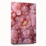 Large abstract wall art of nature elements in muted green and brown tones on acrylic glass.