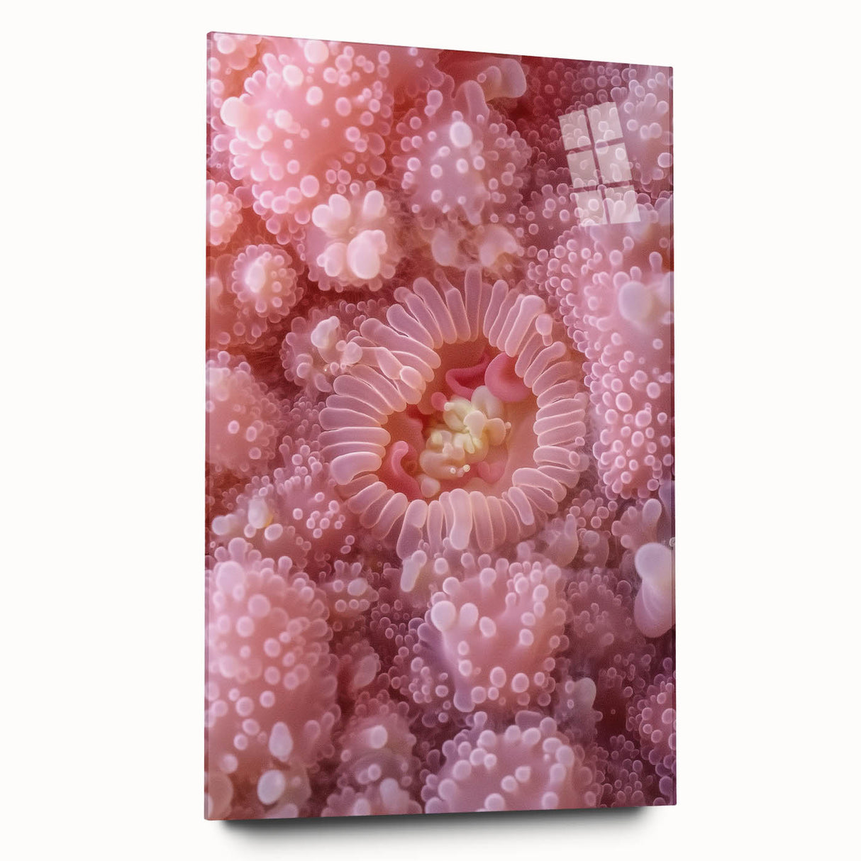 Large abstract wall art depicting close-up nature elements in vibrant green and brown hues on acrylic glass.