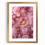 Extra large wall art featuring abstract textures in neutral tones, presented in a gold frame, ideal for living room decor.