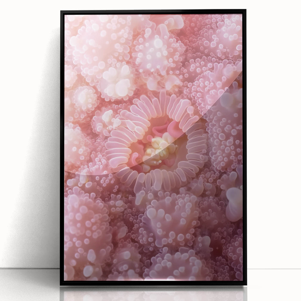 Large abstract wall art featuring a close-up of natural elements in muted earth tones on a framed acrylic print.