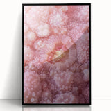 Large abstract wall art featuring a close-up of natural elements in muted earth tones on a framed acrylic print.