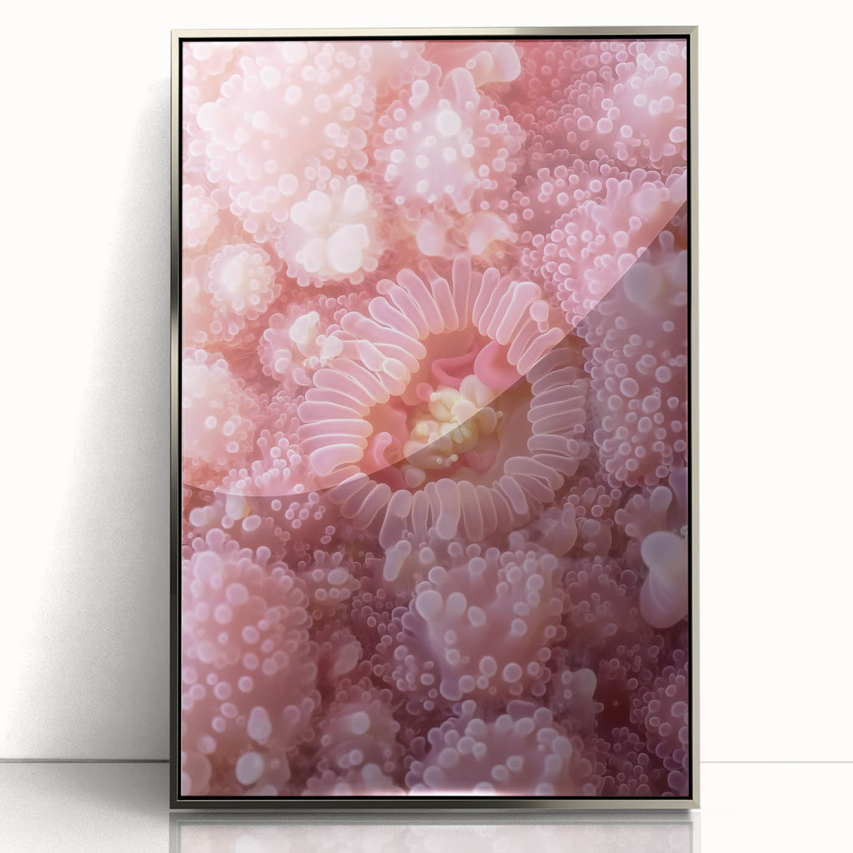 Mid-century modernist art featuring close-up nature elements in silver frame, ideal for nursery wall art.