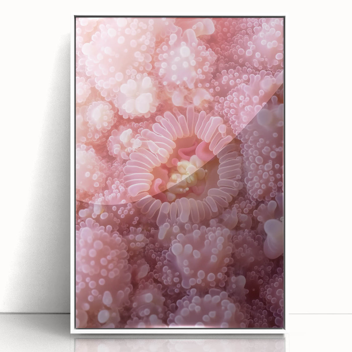 Art Deco style poster featuring close-up nature elements in muted green and white, acrylic framed.