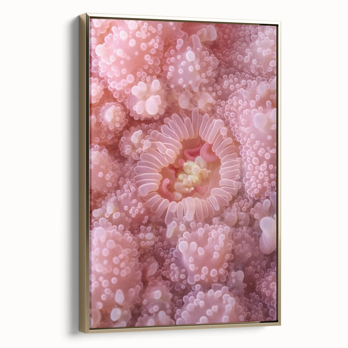 Framed canvas featuring a close-up landscape painting in black and gold tones, suitable for bedroom wall decor.