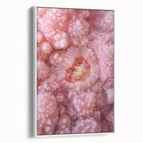 Vintage poster art of colorful nature elements on a white-framed canvas, ideal for living room decor.