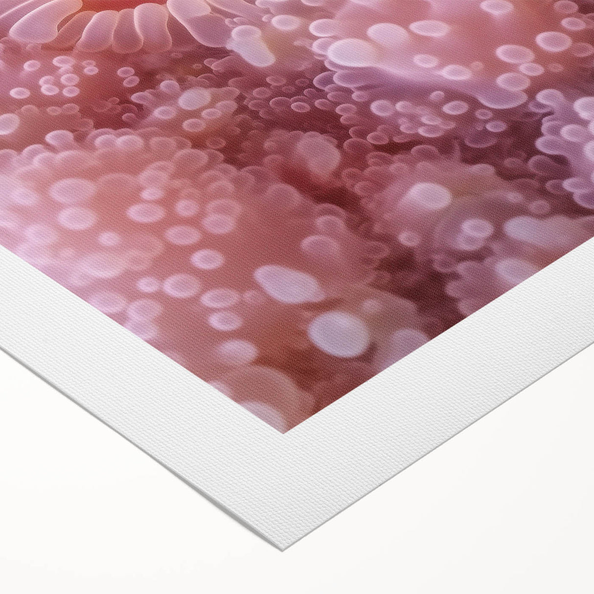 Art deco poster featuring close-up of nature elements in muted green and brown tones on rolled canvas.